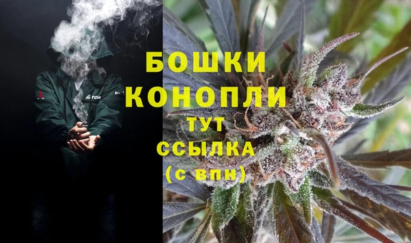 крисы Армянск