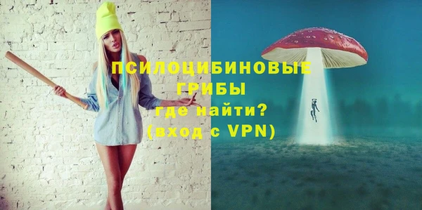 крисы Армянск