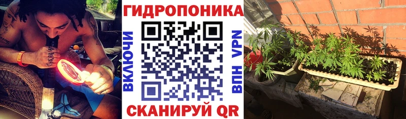 нарко площадка какой сайт  Карачаевск  Марихуана AK-47 